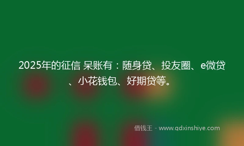 2025年的征信 呆账有：随身贷、投友圈、e微贷、小花钱包、好期贷等。