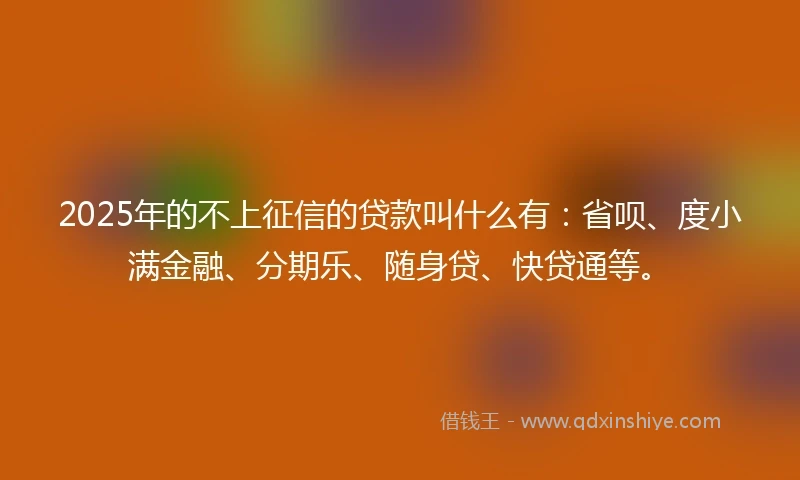 2025年的不上征信的贷款叫什么有：省呗、度小满金融、分期乐、随身贷、快贷通等。