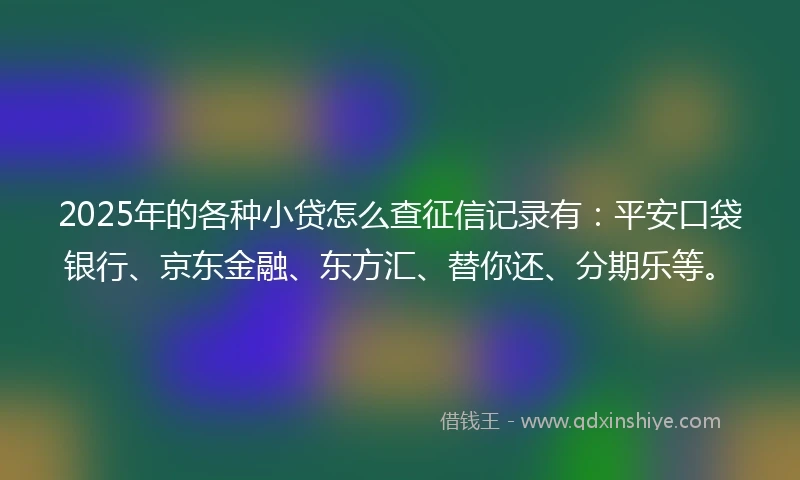 2025年的各种小贷怎么查征信记录有：平安口袋银行、京东金融、东方汇、替你还、分期乐等。