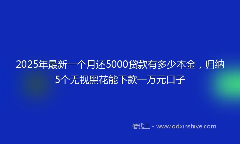 2025年最新一个月还5000贷款有多少本金，归纳5个无视黑花能下款一万元口子
