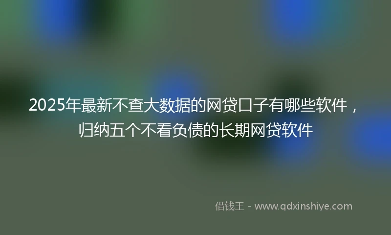 2025年最新不查大数据的网贷口子有哪些软件，归纳五个不看负债的长期网贷软件