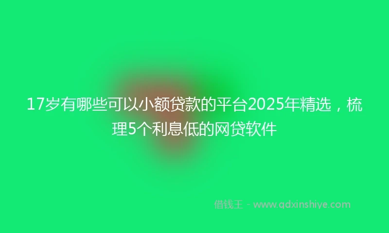 17岁有哪些可以小额贷款的平台2025年精选，梳理5个利息低的网贷软件