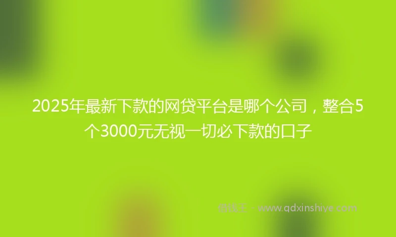 2025年最新下款的网贷平台是哪个公司，整合5个3000元无视一切必下款的口子