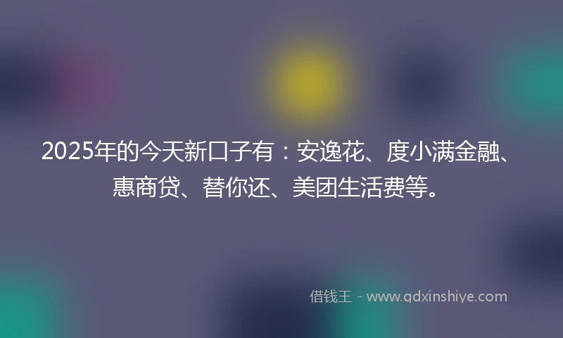 2025年的今天新口子有：安逸花、度小满金融、惠商贷、替你还、美团生活费等。