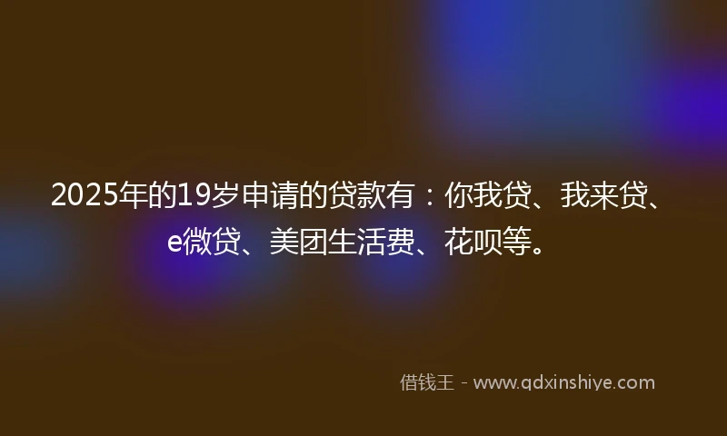 2025年的19岁申请的贷款有：你我贷、我来贷、e微贷、美团生活费、花呗等。
