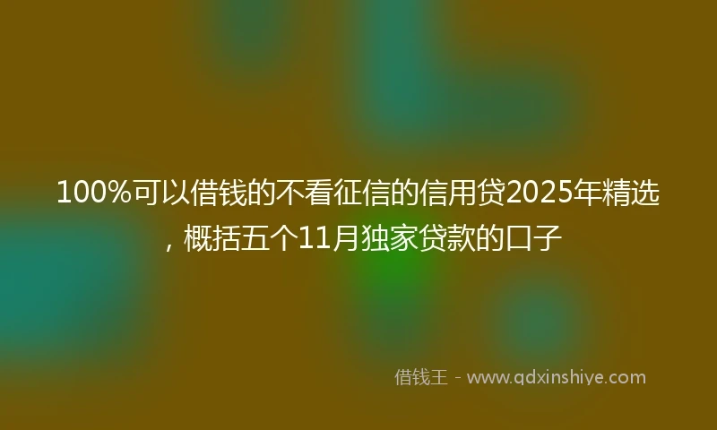 100%可以借钱的不看征信的信用贷2025年精选，概括五个11月独家贷款的口子