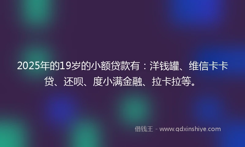 2025年的19岁的小额贷款有：洋钱罐、维信卡卡贷、还呗、度小满金融、拉卡拉等。