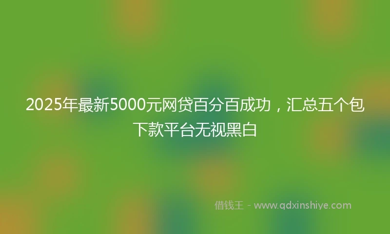 2025年最新5000元网贷百分百成功，汇总五个包下款平台无视黑白