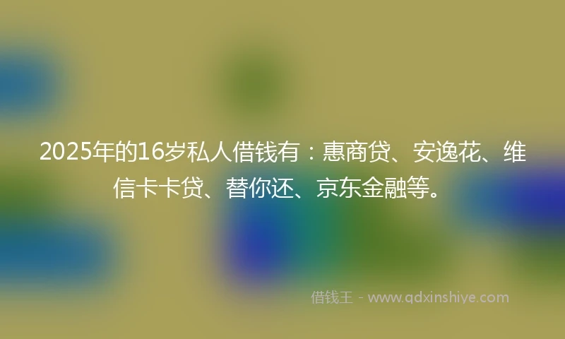 2025年的16岁私人借钱有：惠商贷、安逸花、维信卡卡贷、替你还、京东金融等。