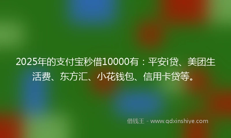 2025年的支付宝秒借10000有：平安i贷、美团生活费、东方汇、小花钱包、信用卡贷等。