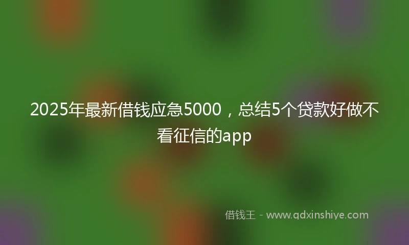 2025年最新借钱应急5000，总结5个贷款好做不看征信的app