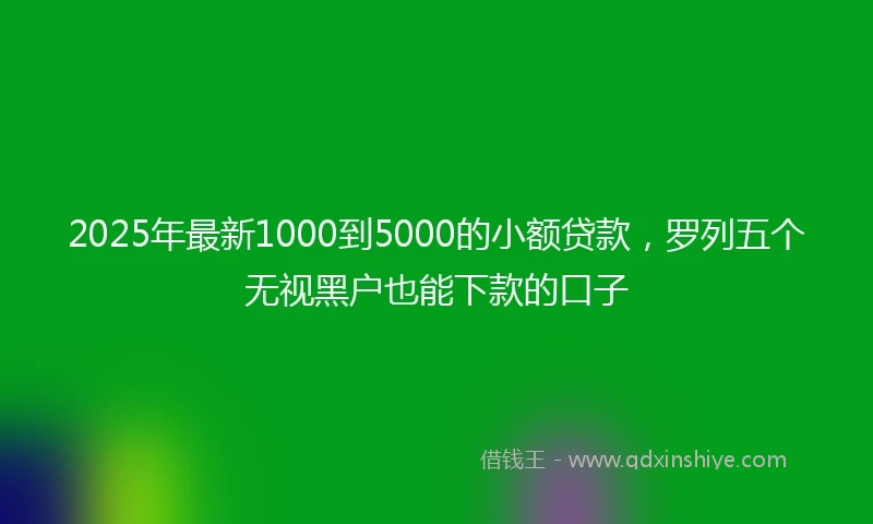 2025年最新1000到5000的小额贷款，罗列五个无视黑户也能下款的口子