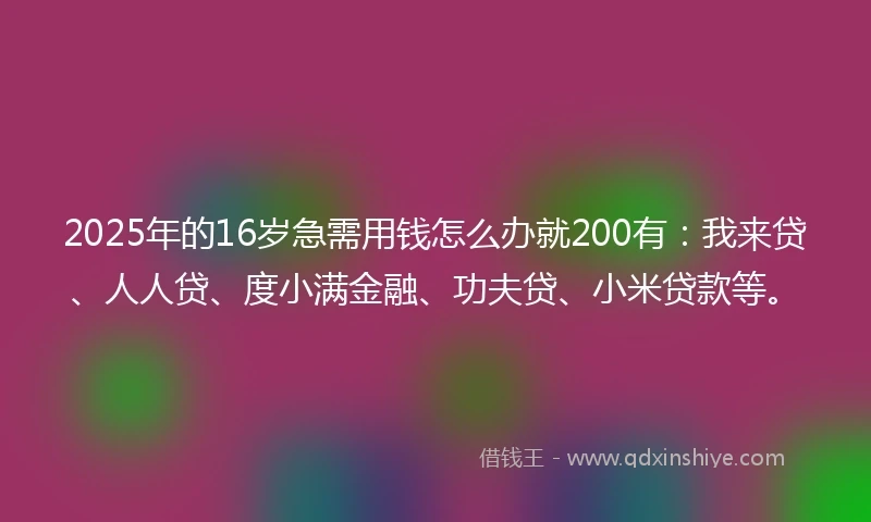 2025年的16岁急需用钱怎么办就200有：我来贷、人人贷、度小满金融、功夫贷、小米贷款等。