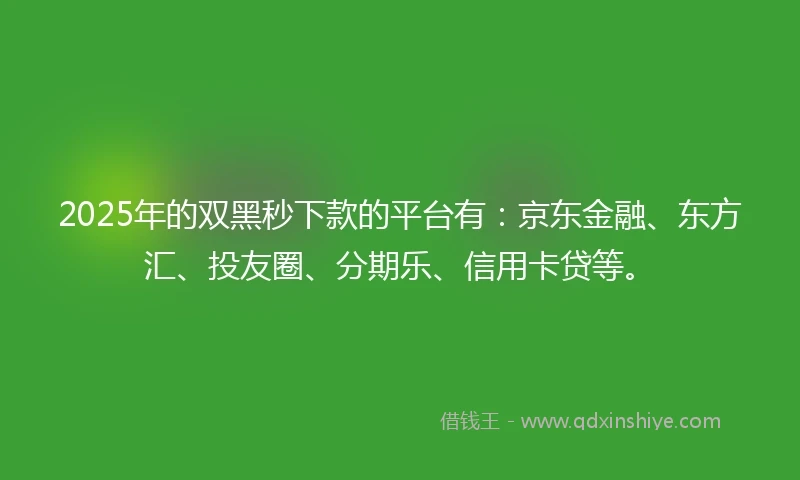 2025年的双黑秒下款的平台有：京东金融、东方汇、投友圈、分期乐、信用卡贷等。