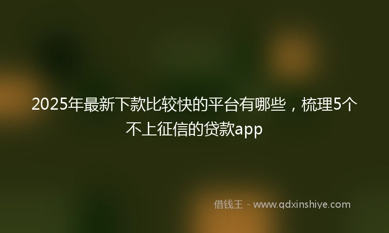 2025年最新下款比较快的平台有哪些，梳理5个不上征信的贷款app