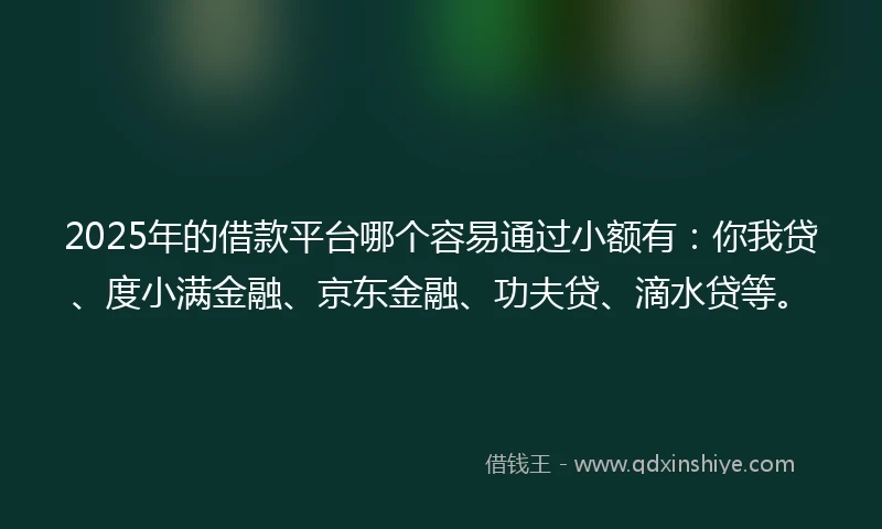 2025年的借款平台哪个容易通过小额有：你我贷、度小满金融、京东金融、功夫贷、滴水贷等。