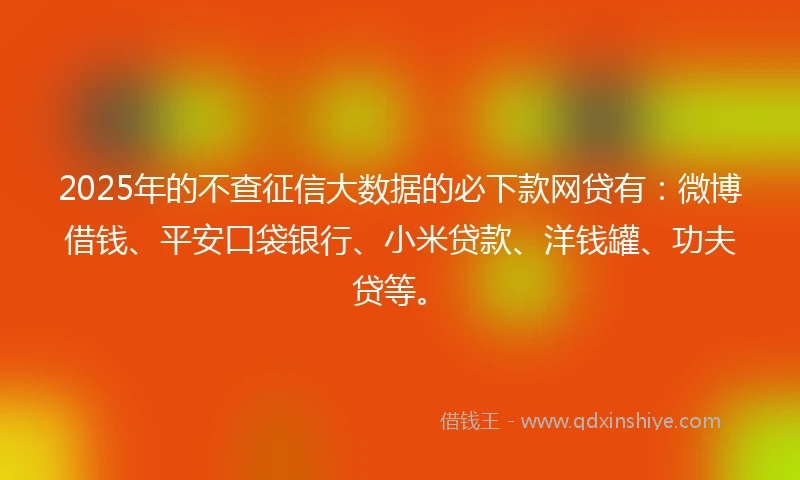 2025年的不查征信大数据的必下款网贷有：微博借钱、平安口袋银行、小米贷款、洋钱罐、功夫贷等。