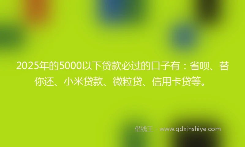 2025年的5000以下贷款必过的口子有：省呗、替你还、小米贷款、微粒贷、信用卡贷等。