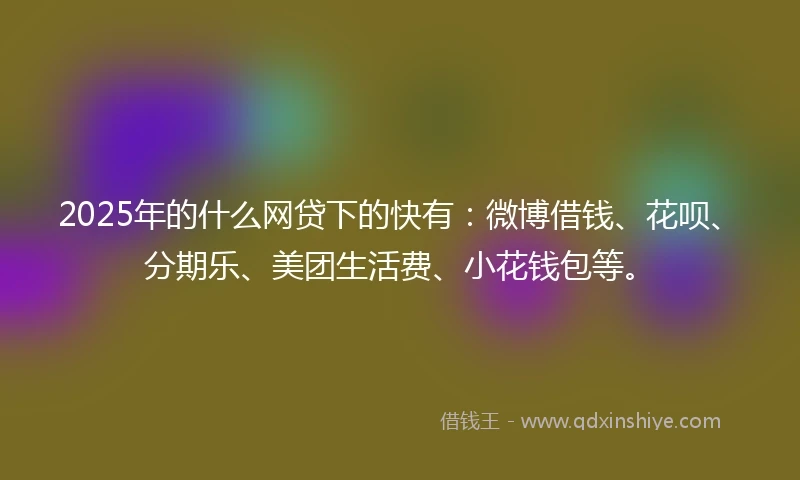 2025年的什么网贷下的快有：微博借钱、花呗、分期乐、美团生活费、小花钱包等。