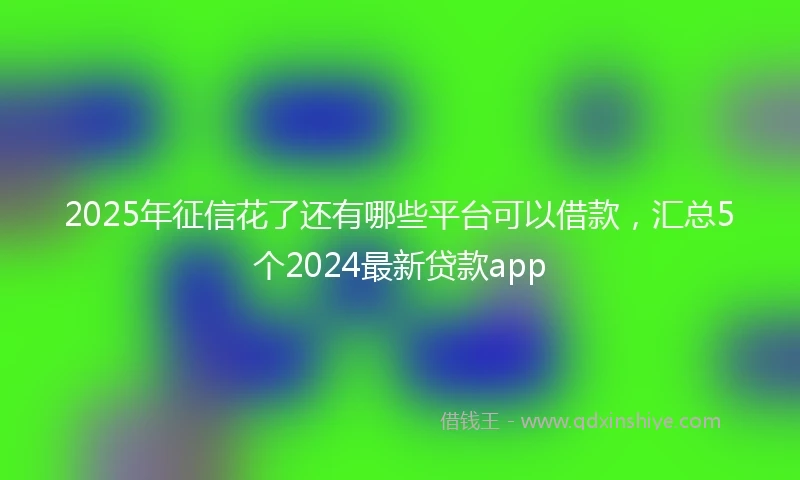 2025年征信花了还有哪些平台可以借款，汇总5个2024最新贷款app