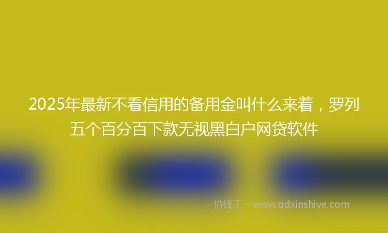 2025年最新不看信用的备用金叫什么来着，罗列五个百分百下款无视黑白户网贷软件