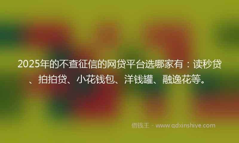 2025年的不查征信的网贷平台选哪家有：读秒贷、拍拍贷、小花钱包、洋钱罐、融逸花等。