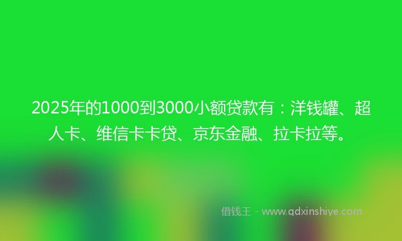 2025年的1000到3000小额贷款有：洋钱罐、超人卡、维信卡卡贷、京东金融、拉卡拉等。