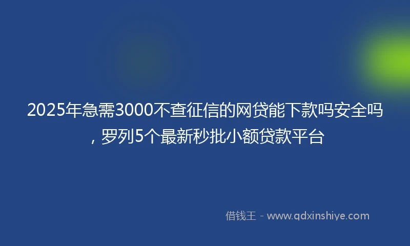 2025年急需3000不查征信的网贷能下款吗安全吗，罗列5个最新秒批小额贷款平台