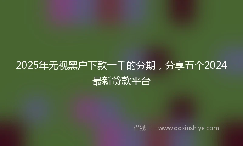 2025年无视黑户下款一千的分期，分享五个2024最新贷款平台
