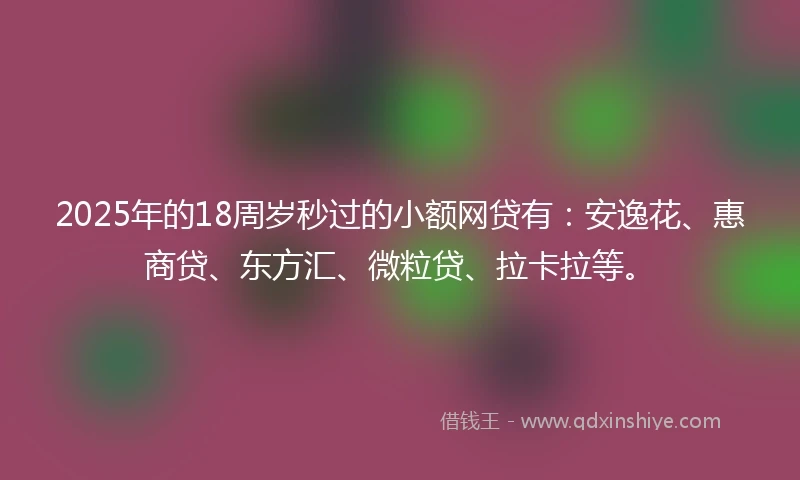 2025年的18周岁秒过的小额网贷有：安逸花、惠商贷、东方汇、微粒贷、拉卡拉等。