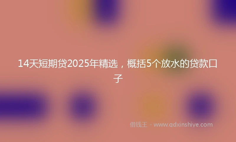 14天短期贷2025年精选，概括5个放水的贷款口子