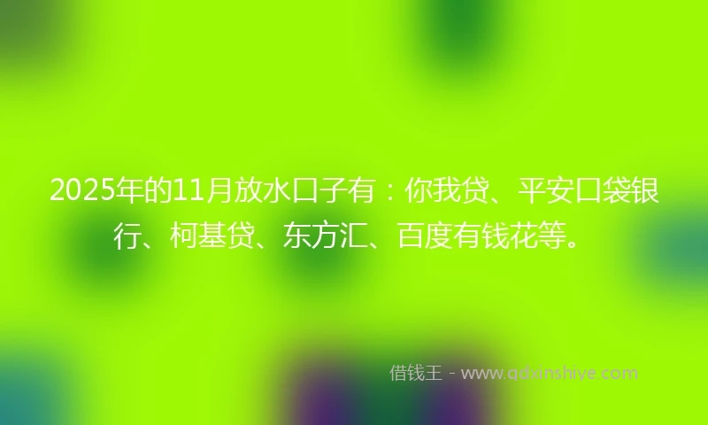 2025年的11月放水口子有：你我贷、平安口袋银行、柯基贷、东方汇、百度有钱花等。