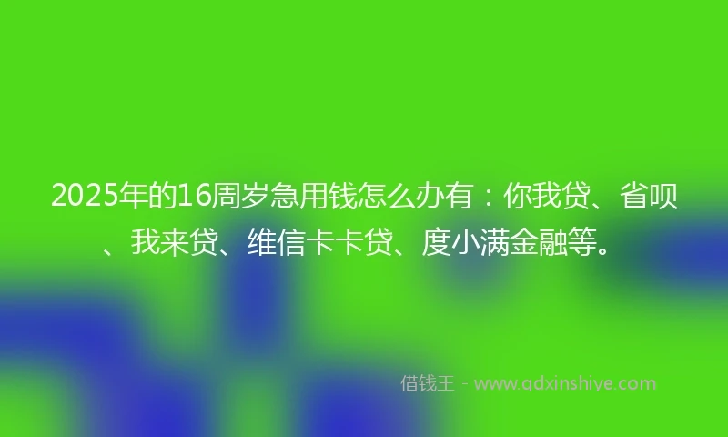 2025年的16周岁急用钱怎么办有：你我贷、省呗、我来贷、维信卡卡贷、度小满金融等。
