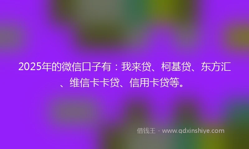 2025年的微信口子有：我来贷、柯基贷、东方汇、维信卡卡贷、信用卡贷等。