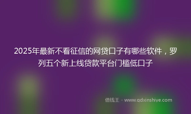 2025年最新不看征信的网贷口子有哪些软件，罗列五个新上线贷款平台门槛低口子