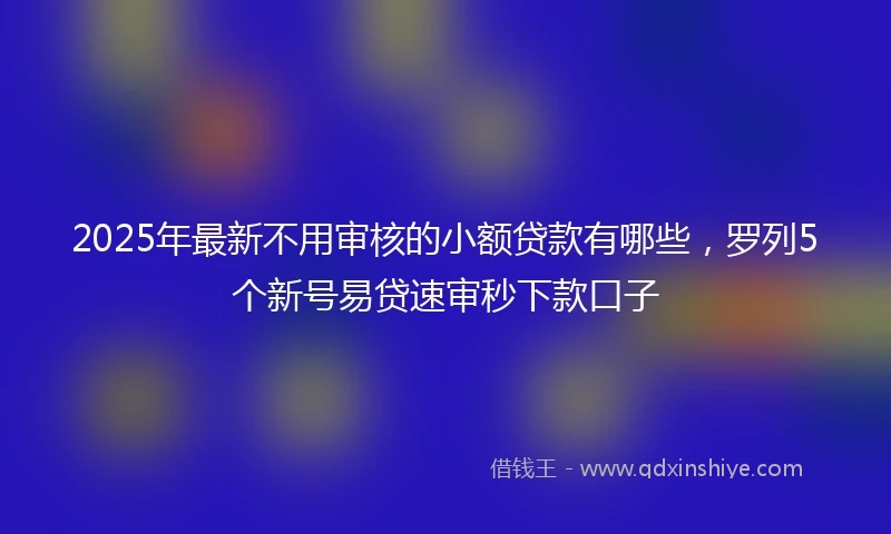 2025年最新不用审核的小额贷款有哪些，罗列5个新号易贷速审秒下款口子
