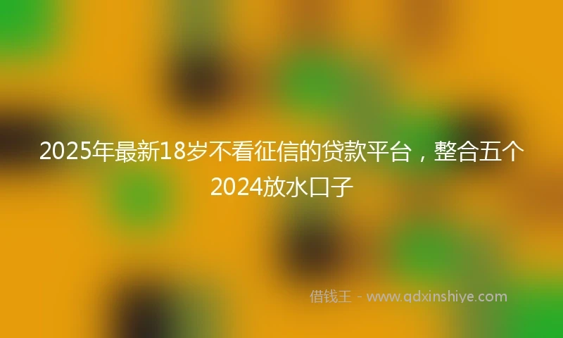 2025年最新18岁不看征信的贷款平台，整合五个2024放水口子