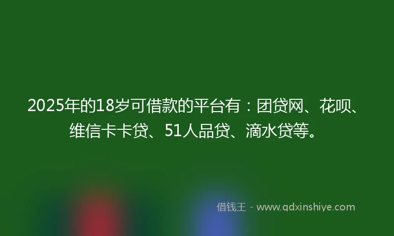 2025年的18岁可借款的平台有：团贷网、花呗、维信卡卡贷、51人品贷、滴水贷等。