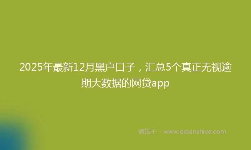 2025年最新12月黑户口子，汇总5个真正无视逾期大数据的网贷app