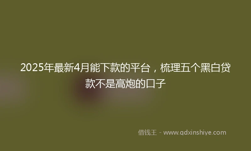 2025年最新4月能下款的平台，梳理五个黑白贷款不是高炮的口子