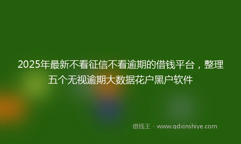 2025年最新不看征信不看逾期的借钱平台，整理五个无视逾期大数据花户黑户软件
