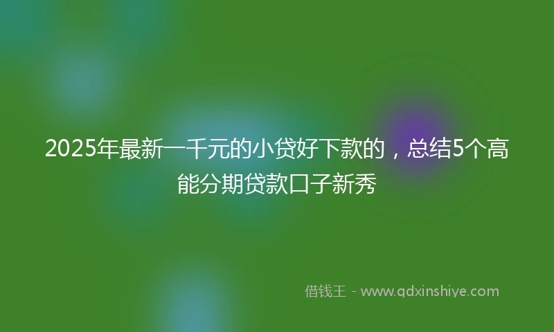 2025年最新一千元的小贷好下款的，总结5个高能分期贷款口子新秀
