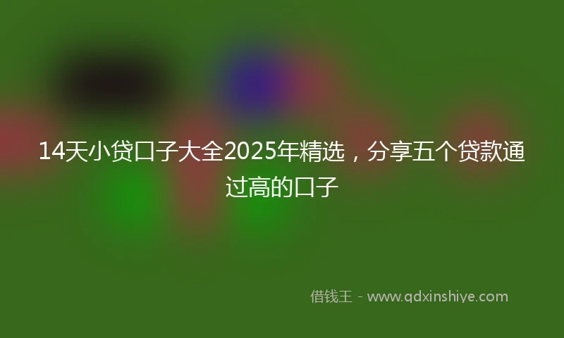 14天小贷口子大全2025年精选，分享五个贷款通过高的口子