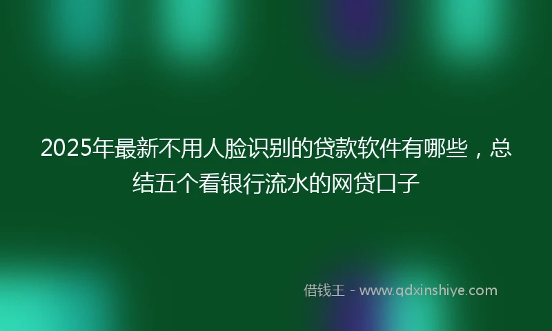 2025年最新不用人脸识别的贷款软件有哪些，总结五个看银行流水的网贷口子