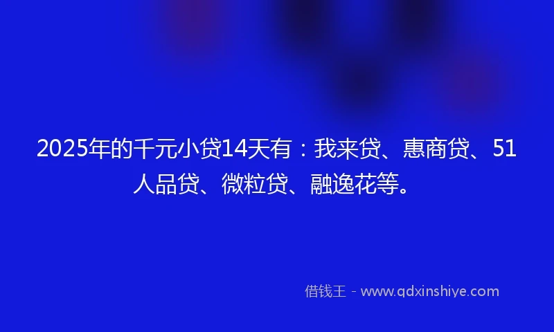 2025年的千元小贷14天有：我来贷、惠商贷、51人品贷、微粒贷、融逸花等。