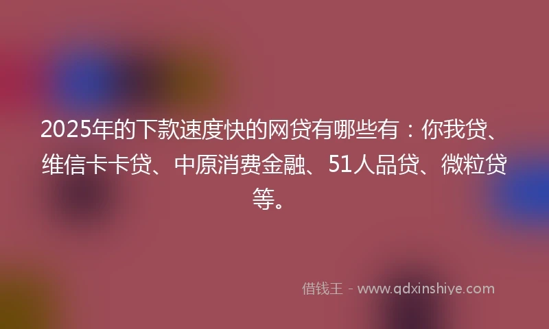 2025年的下款速度快的网贷有哪些有：你我贷、维信卡卡贷、中原消费金融、51人品贷、微粒贷等。