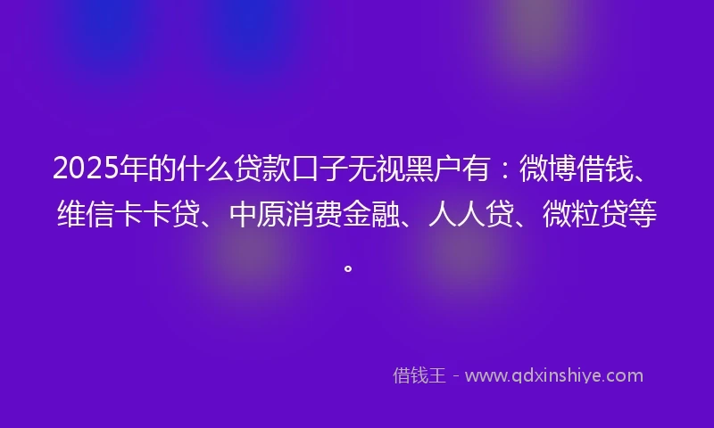 2025年的什么贷款口子无视黑户有：微博借钱、维信卡卡贷、中原消费金融、人人贷、微粒贷等。