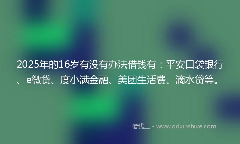 2025年的16岁有没有办法借钱有：平安口袋银行、e微贷、度小满金融、美团生活费、滴水贷等。