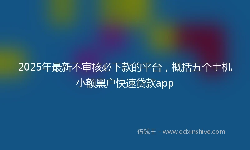 2025年最新不审核必下款的平台，概括五个手机小额黑户快速贷款app