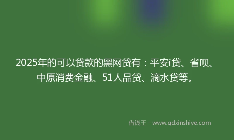 2025年的可以贷款的黑网贷有：平安i贷、省呗、中原消费金融、51人品贷、滴水贷等。